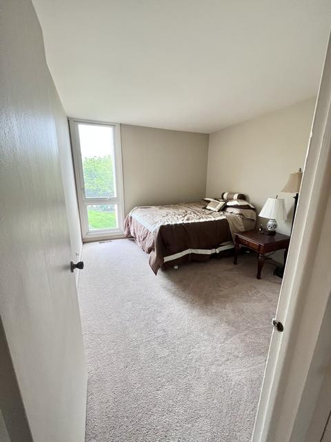6 Maple Tree Ct, Elmhurst, IL 60126 photo 9