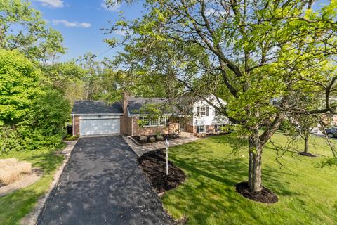20409 Ithaca Rd, Olympia Fields, IL 60461 photo 18