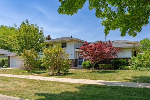 41 E Kathleen Dr, Des Plaines, IL 60016 photo 2