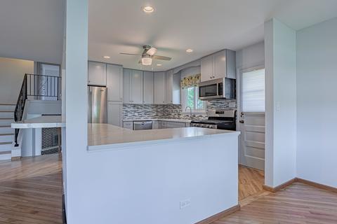41 E Kathleen Dr, Des Plaines, IL 60016 photo 9