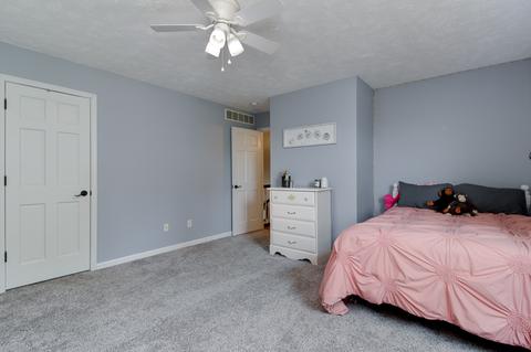 113 S Pintail Ln, Downs, IL 61736 photo 26