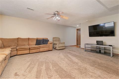 113 S Pintail Ln, Downs, IL 61736 photo 28