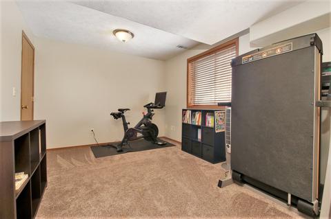 113 S Pintail Ln, Downs, IL 61736 photo 29