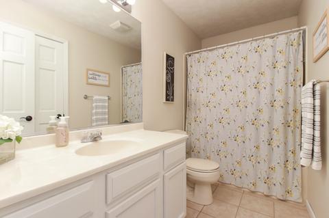 113 S Pintail Ln, Downs, IL 61736 photo 24