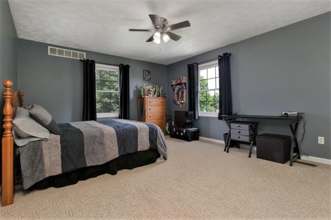 113 S Pintail Ln, Downs, IL 61736 photo 22