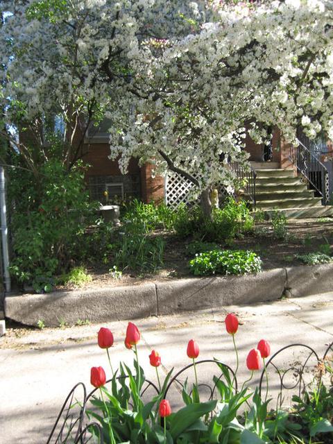 1430 W Warner Ave, Chicago, IL 60613 photo 46