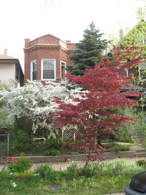 1430 W Warner Ave, Chicago, IL 60613