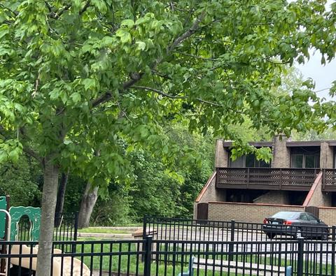 410 Kenneth Cir, Elgin, IL 60120