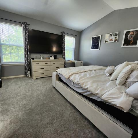 22236 W Niagara Trl W, Plainfield, IL 60544 photo 14