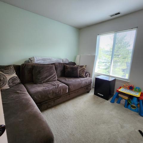 22236 W Niagara Trl W, Plainfield, IL 60544 photo 11