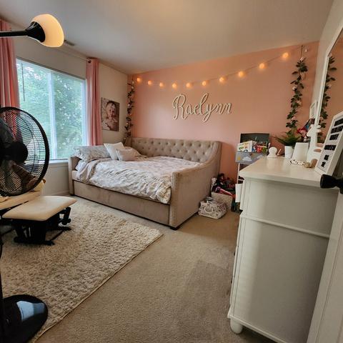 22236 W Niagara Trl W, Plainfield, IL 60544 photo 12