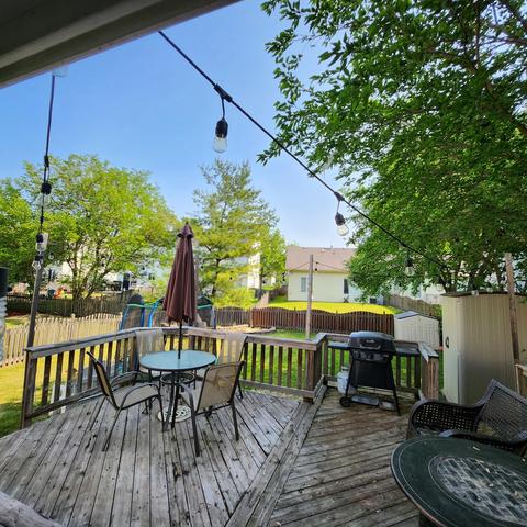 22236 W Niagara Trl W, Plainfield, IL 60544 photo 19