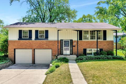 917 E Morris Dr, Palatine, IL 60074