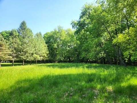 217 Elm Tree Drive, Varna, IL 61375