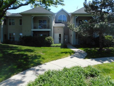 786 N Gary Ave #209, Carol Stream, IL 60188