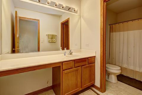 3005 Harborside Ct, Plainfield, IL 60586 photo 22