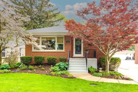 509 S Pine St, Mount Prospect, IL 60056