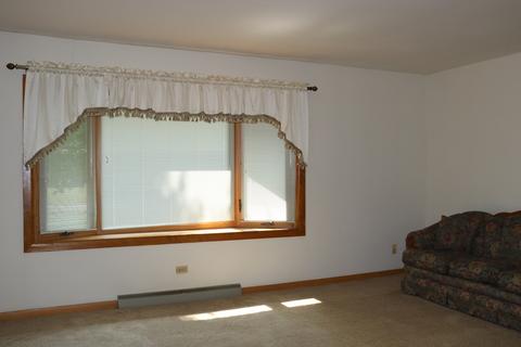 307 Tree Ln, Prophetstown, IL 61277 photo 5