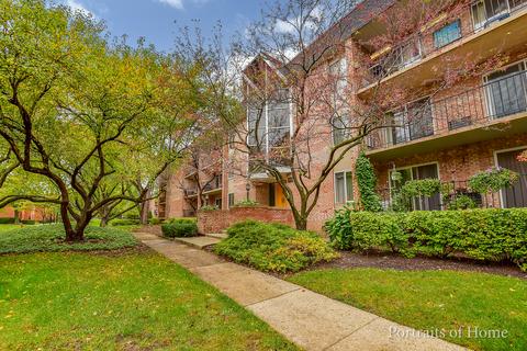1041 N Mill St #311, Naperville, IL 60563