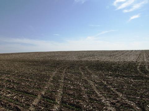 Tbd Ridge Road, Oregon, IL 61061