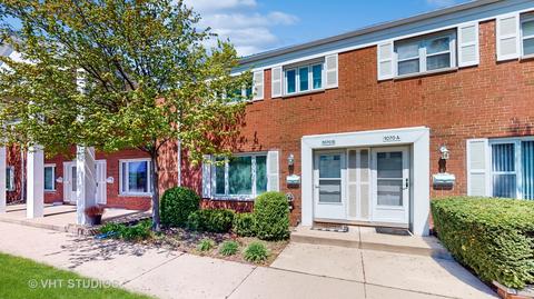 1070 Higgins Rd #B, Park Ridge, IL 60068
