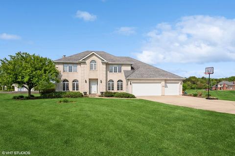 6436 W Birch Ct, Monee, IL 60449
