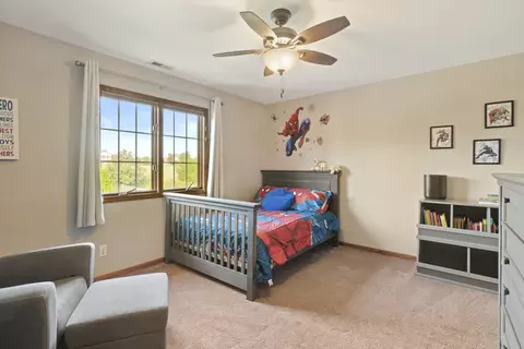 25960 S Castle Gate Dr, Monee, IL 60449 photo 24