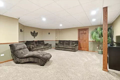 25960 S Castle Gate Dr, Monee, IL 60449 photo 27