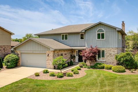 13522 S Erin Dr, Homer Glen, IL 60491