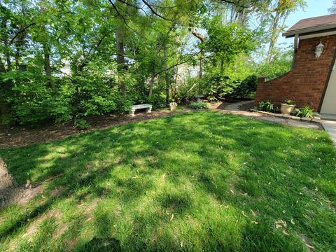 153 Richton Rd, Steger, IL 60475 photo 3