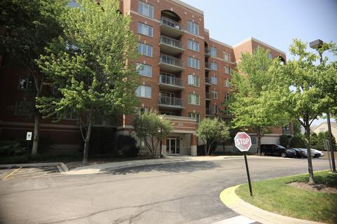 390 S Western Ave #308, Des Plaines, IL 60016