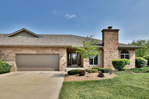 9109 Arbour Walk Dr, Frankfort, IL 60423