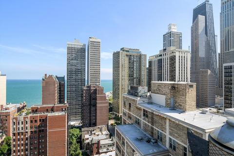 20 E Cedar St #2E, Chicago, IL 60611 photo 33