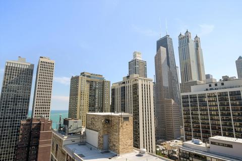 20 E Cedar St #2E, Chicago, IL 60611 photo 35
