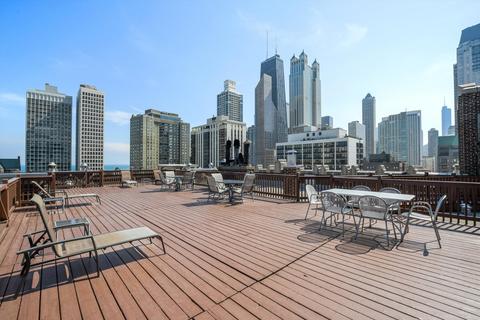 20 E Cedar St #2E, Chicago, IL 60611 photo 31