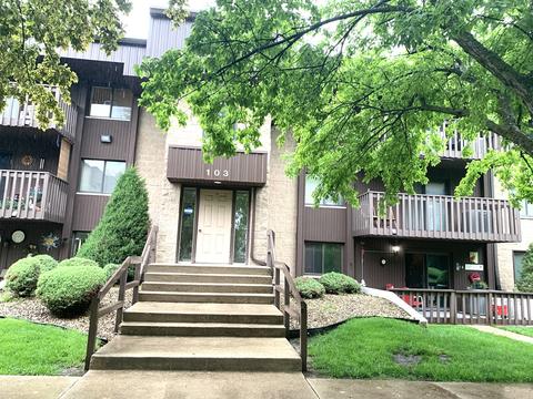 103 Caterpillar Dr #1B, Joliet, IL 60436