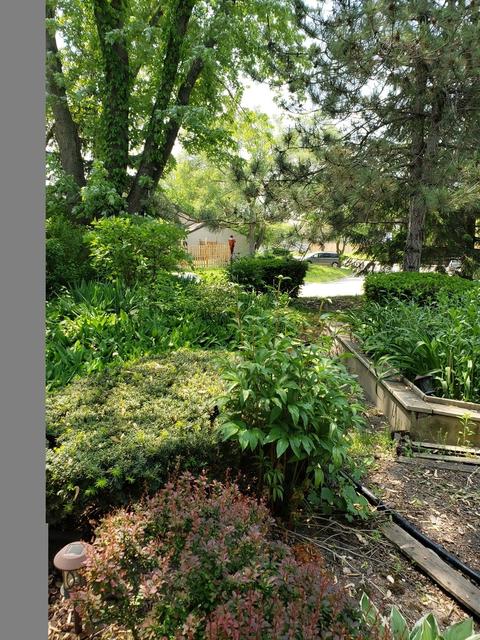739 Cove Ct, Bartlett, IL 60103 photo 9