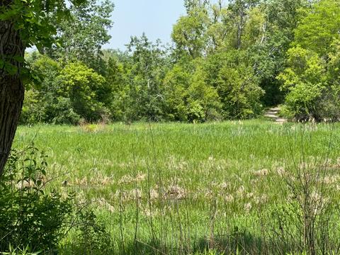 718 Christine Dr, Mchenry, IL 60051 photo 20