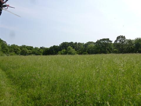 12427 Middle Creek Rd, Clinton, IL 61727