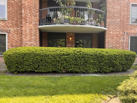 1515 E Central Rd #162B, Arlington Heights, IL 60005