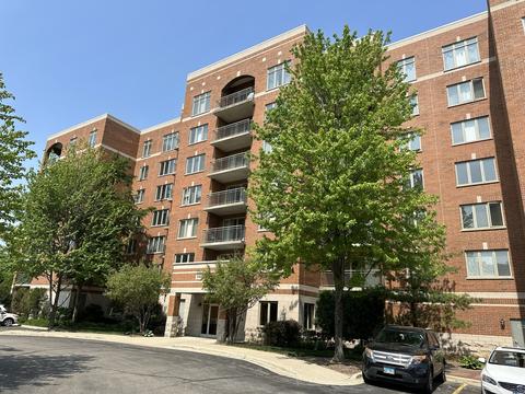 390 S Western Ave #204, Des Plaines, IL 60016