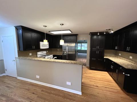 Undisclosed, Mount Prospect, IL 60056 photo 7