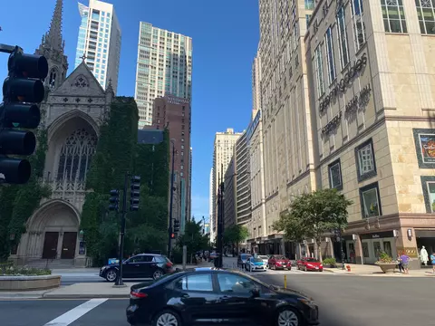 200 E Delaware Pl #14A, Chicago, IL 60611 photo 34