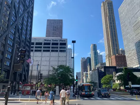 200 E Delaware Pl #14A, Chicago, IL 60611 photo 37