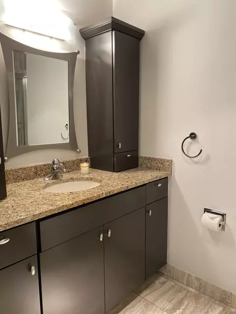 200 E Delaware Pl #14A, Chicago, IL 60611 photo 17
