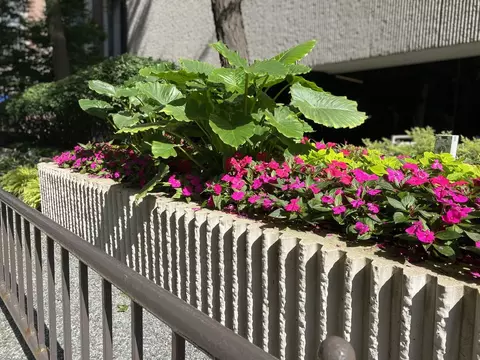 200 E Delaware Pl #14A, Chicago, IL 60611 photo 30