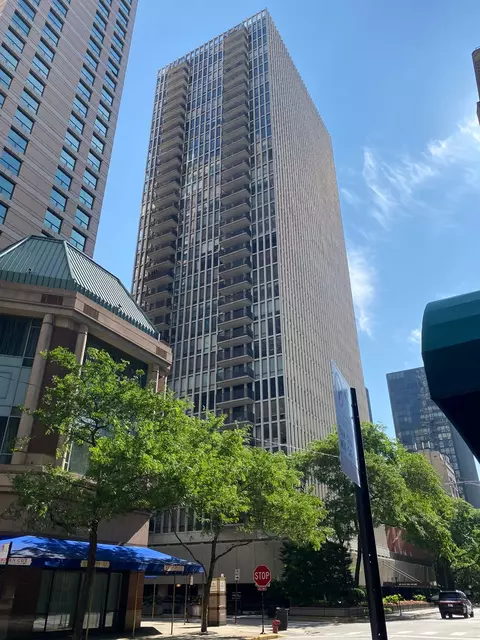 200 E Delaware Pl #14A, Chicago, IL 60611 photo 33