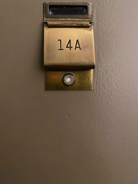200 E Delaware Pl #14A, Chicago, IL 60611 photo 32