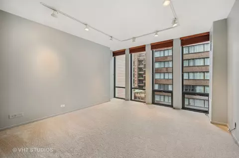 200 E Delaware Pl #14A, Chicago, IL 60611 photo 19