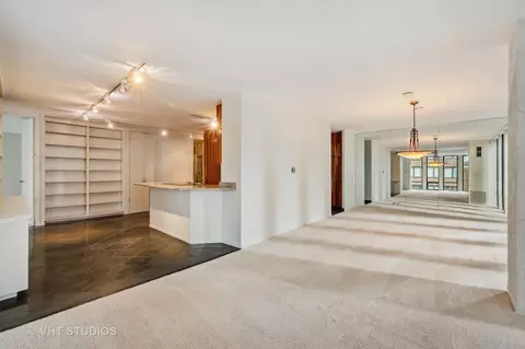 200 E Delaware Pl #14A, Chicago, IL 60611 photo 13